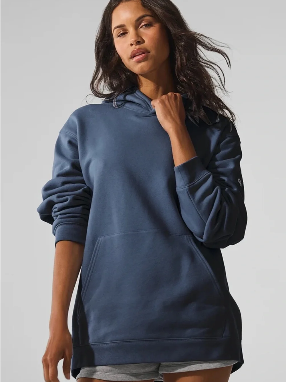 Renown Heavy Weight Hoodie